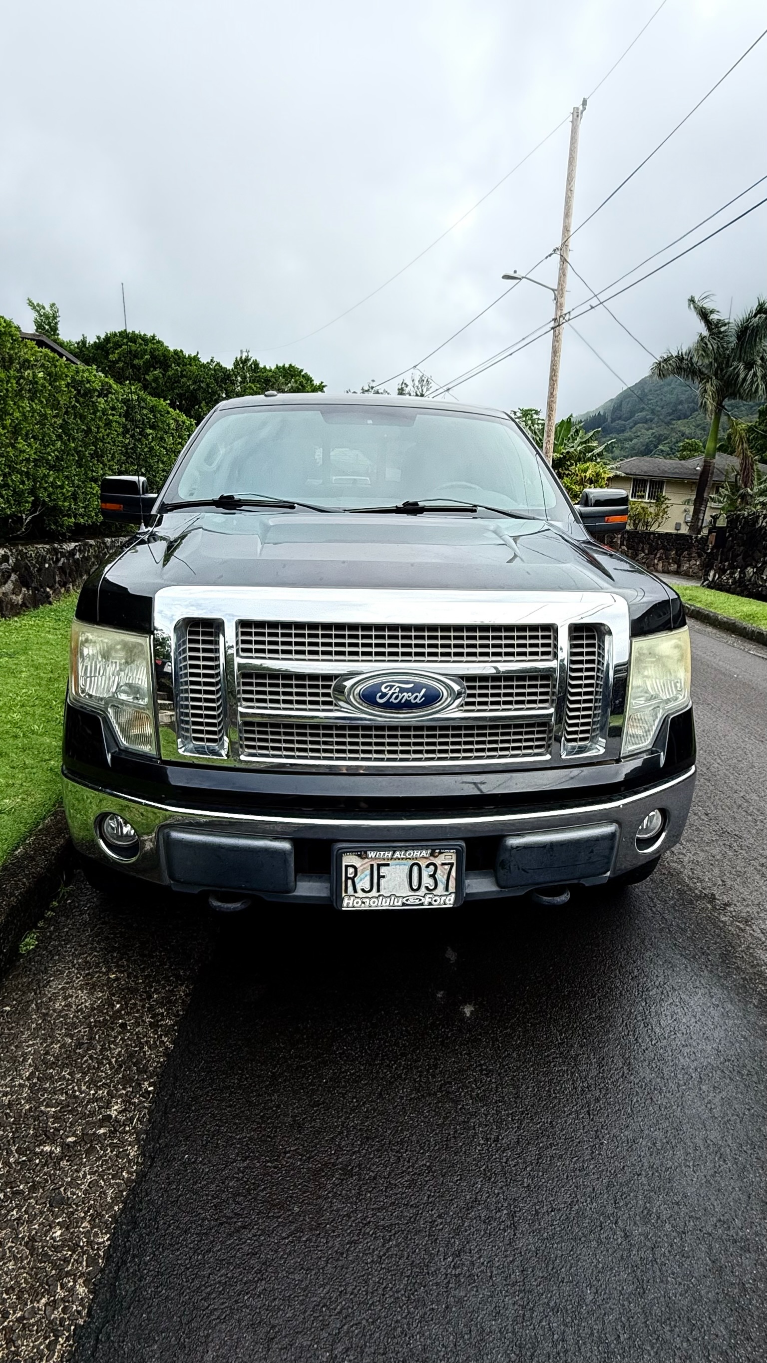 2010 Ford F-150