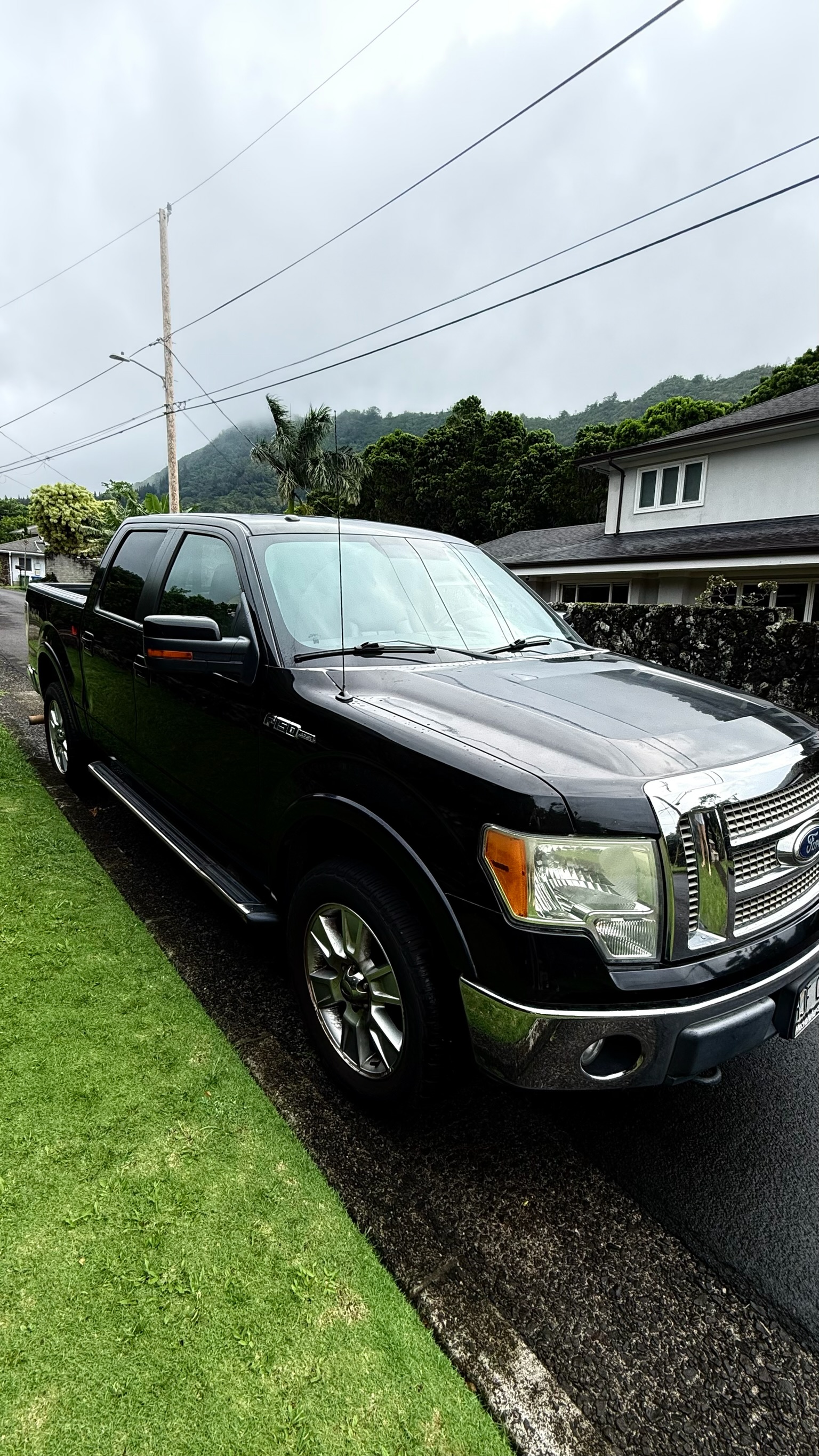 2010 Ford F-150