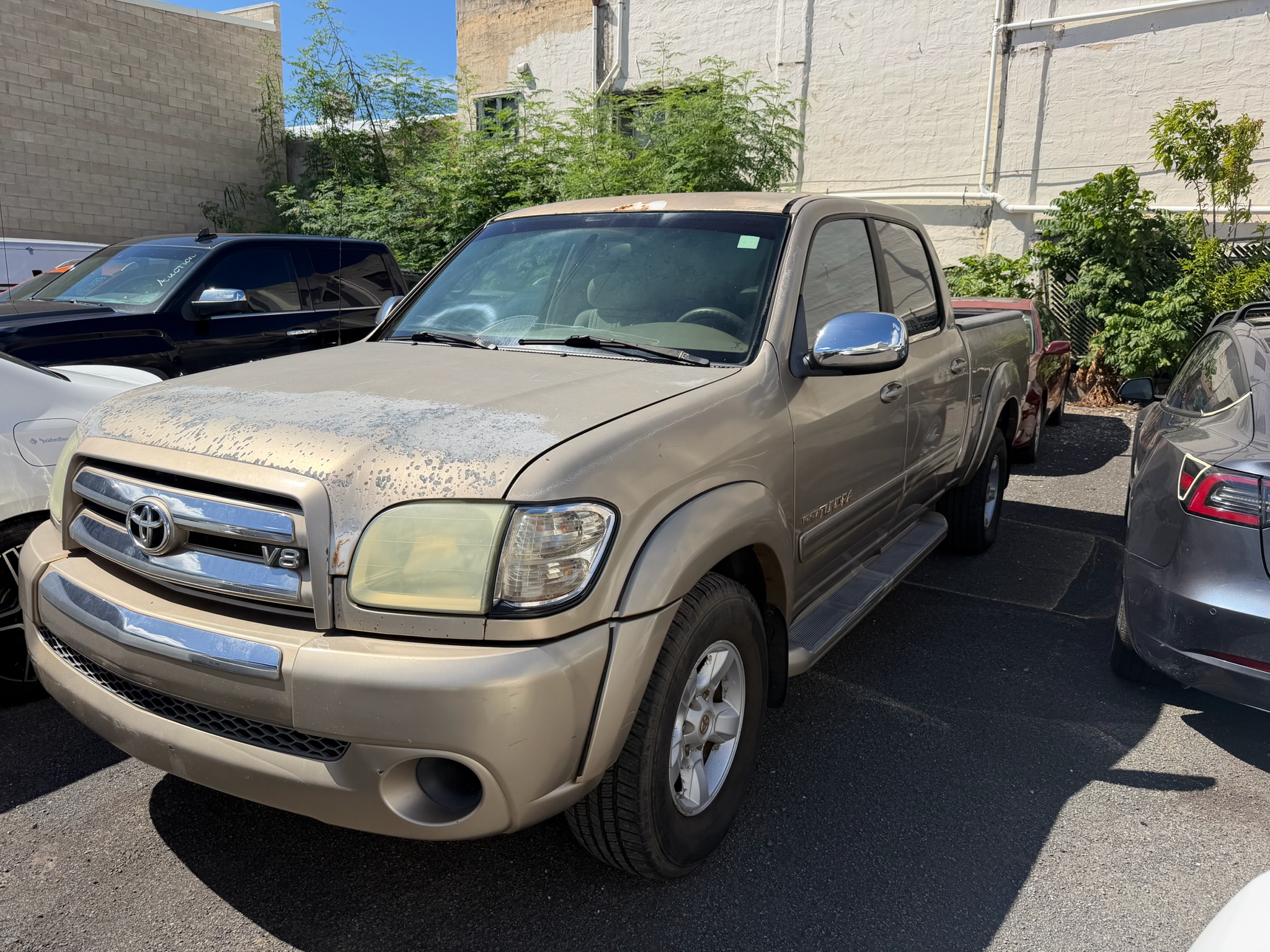 2004 Toyota Tundra