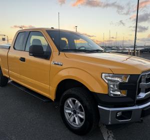 2016 Ford F150 image 3