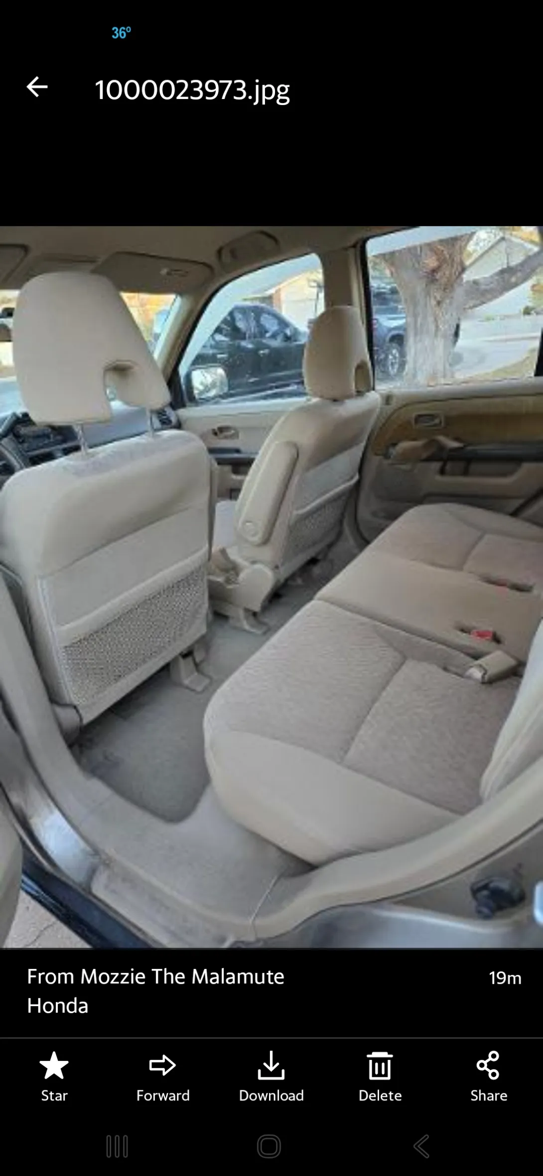 Image 4 for listing 4177