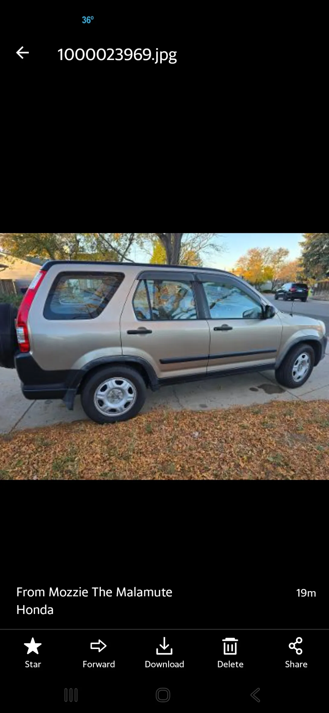 Image 3 for listing 4177