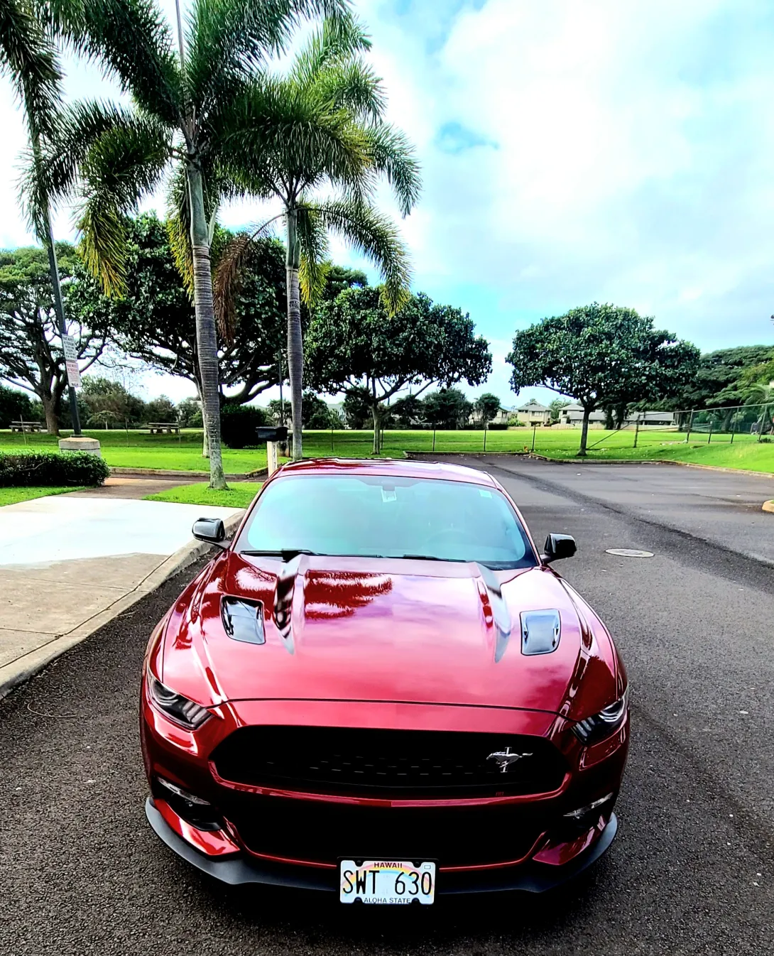 Image 8 for listing 4211